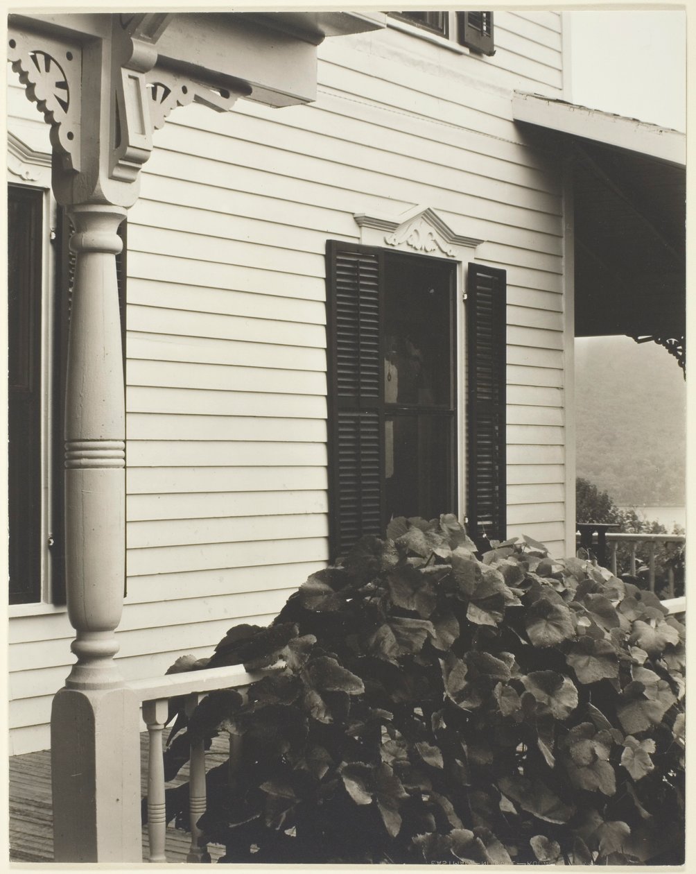 Casa e folhas de uva de Alfred Stieglitz