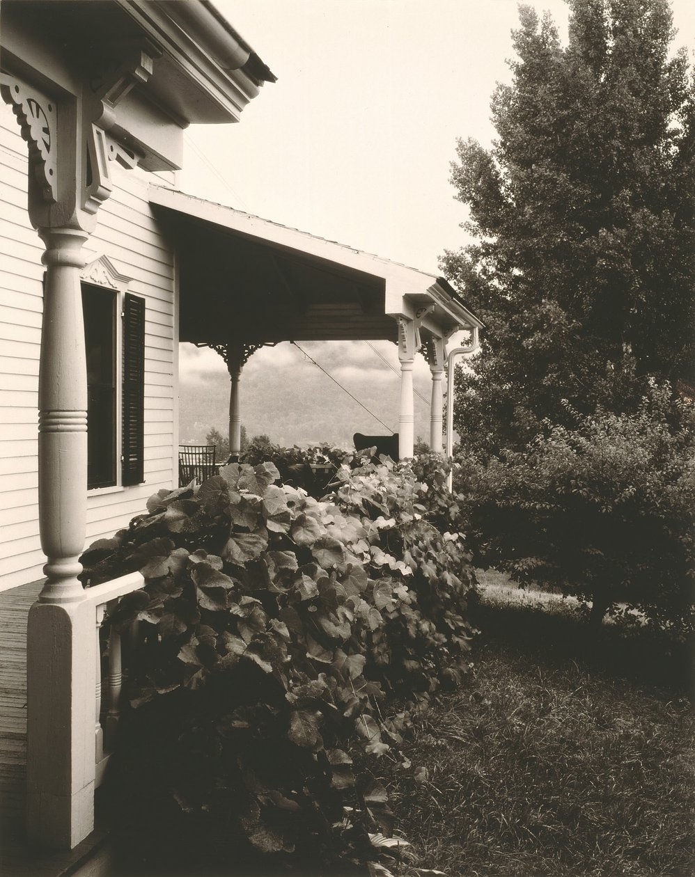 Casa e folhas de uva, 1934. de Alfred Stieglitz