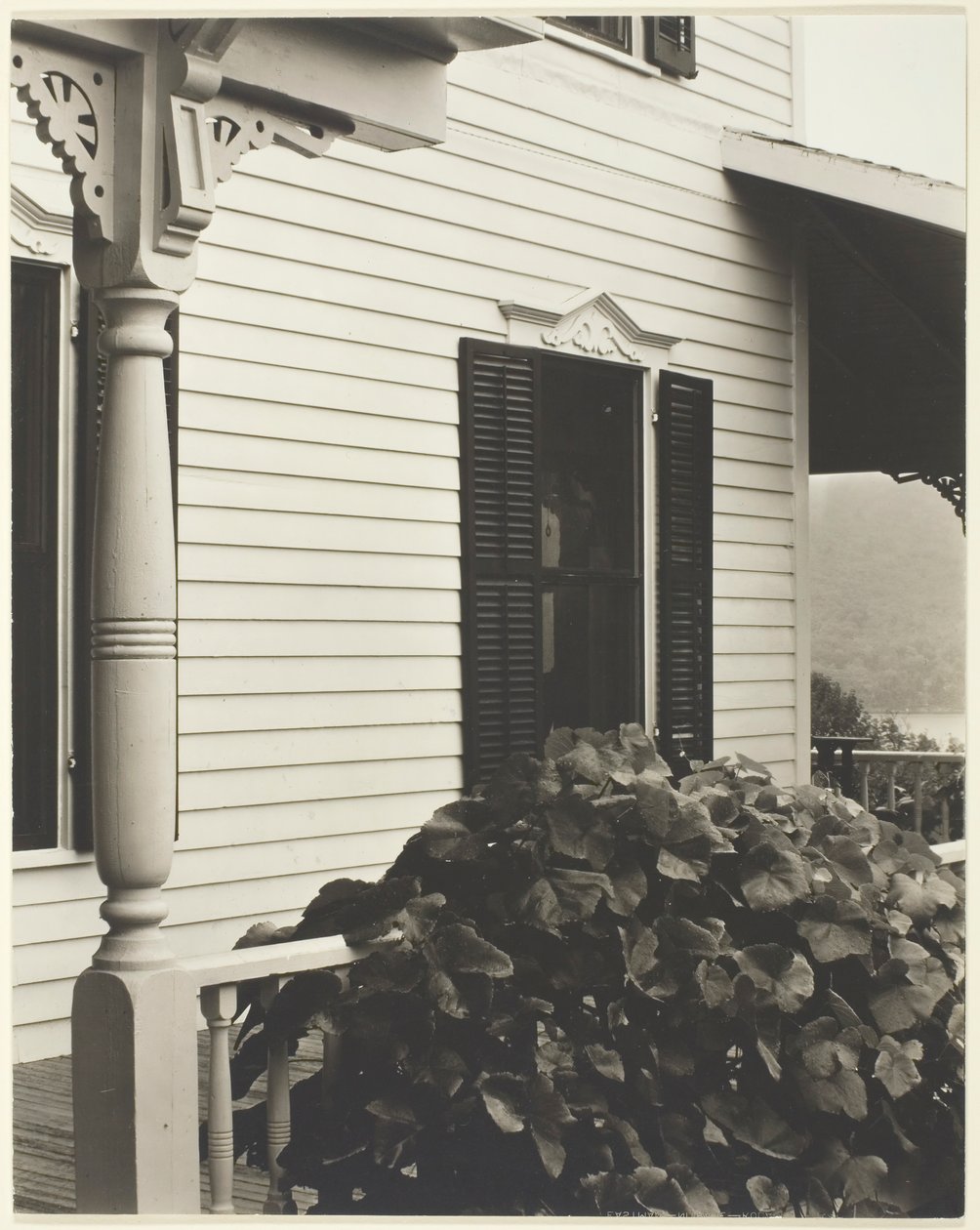 Casa e folhas de uva, 1934. de Alfred Stieglitz