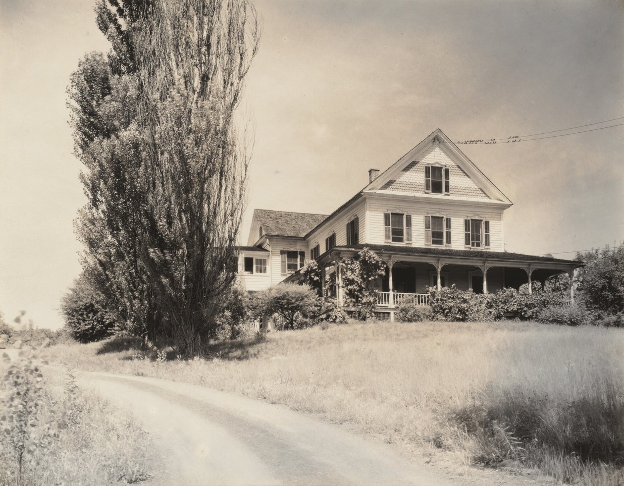 Casa e Choupos, Lago George de Alfred Stieglitz