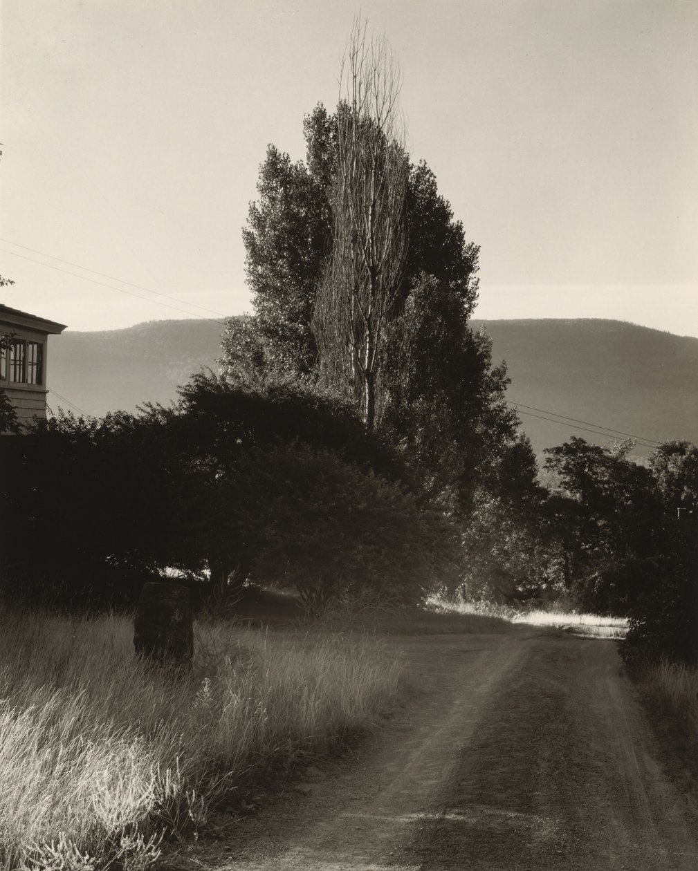 Casa e choupos, lago George de Alfred Stieglitz