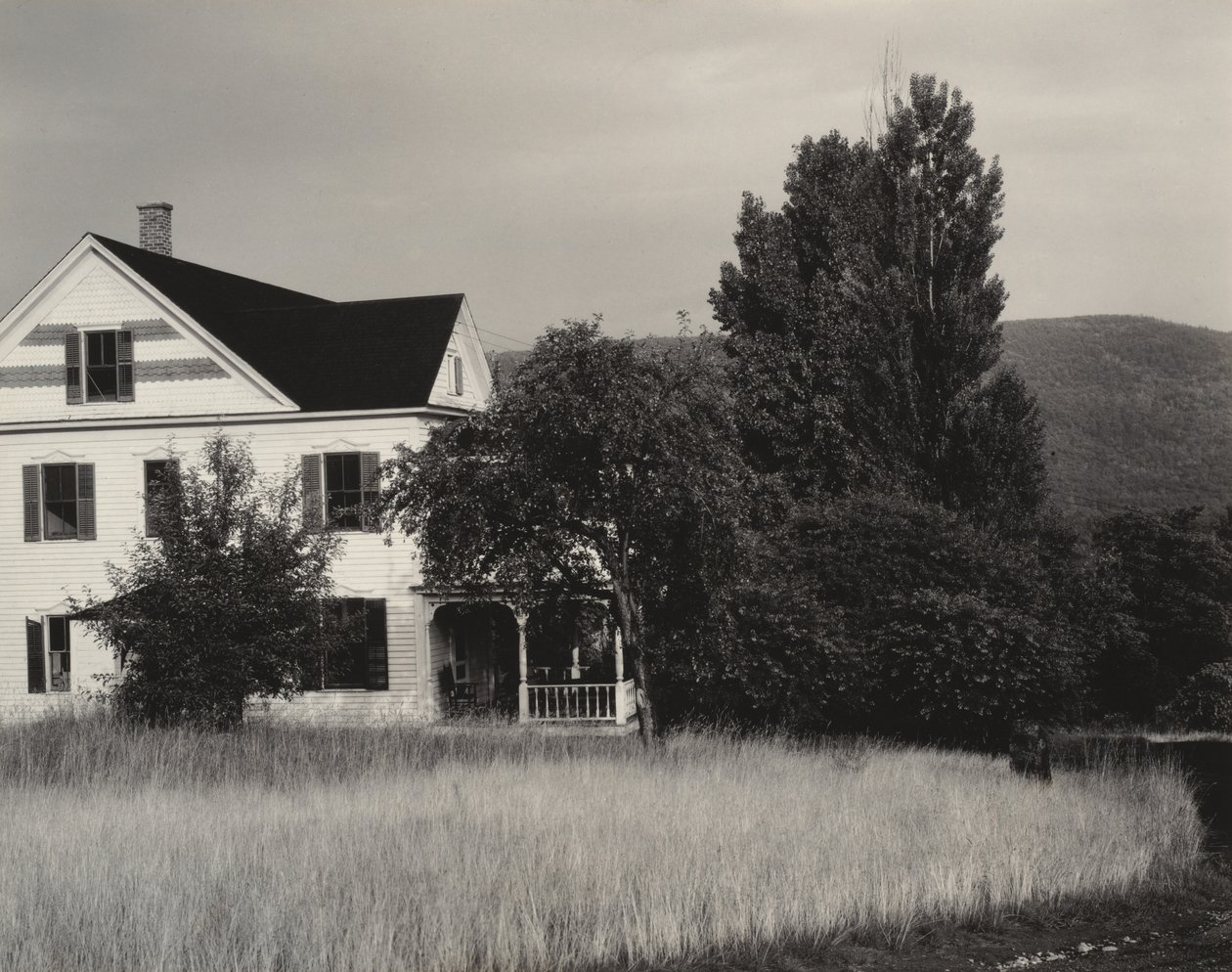 Casa e árvores, Lago George de Alfred Stieglitz