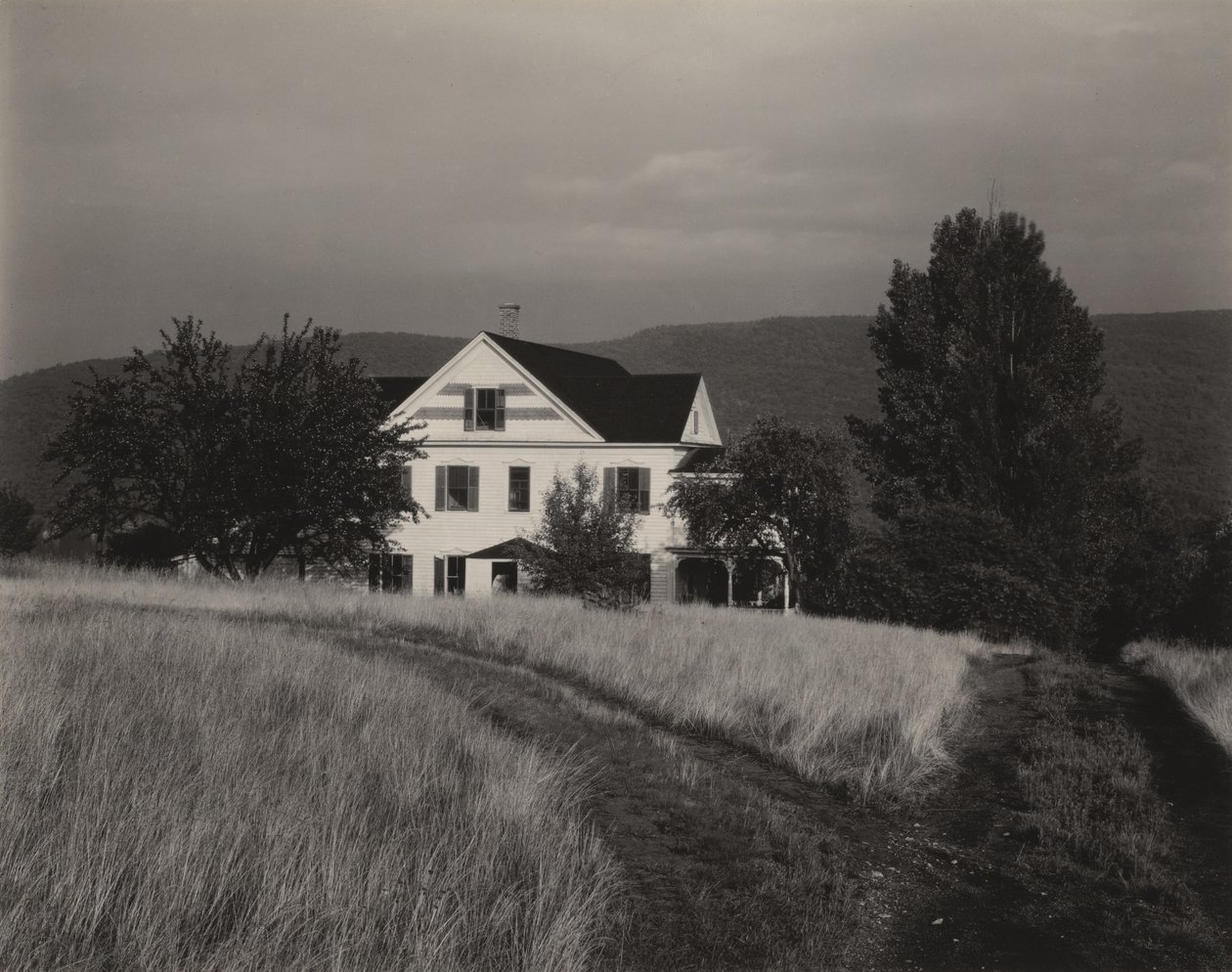 Casa e árvores, Lake George de Alfred Stieglitz