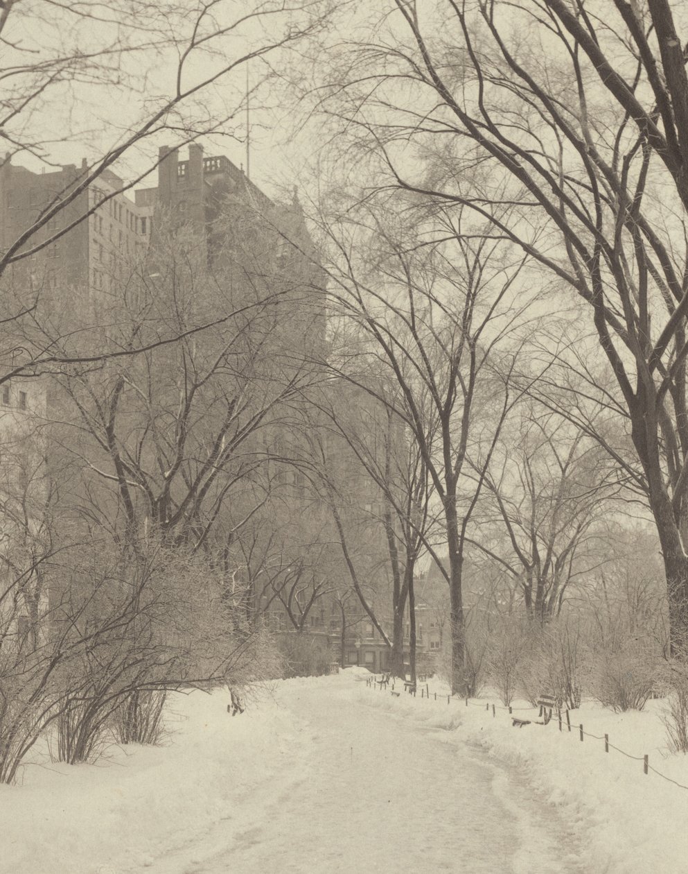 No parque de Alfred Stieglitz