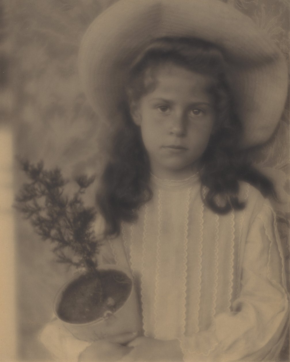Gatinha — Vaso de flores de Alfred Stieglitz