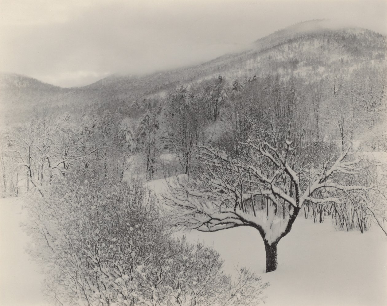 Lago George de Alfred Stieglitz
