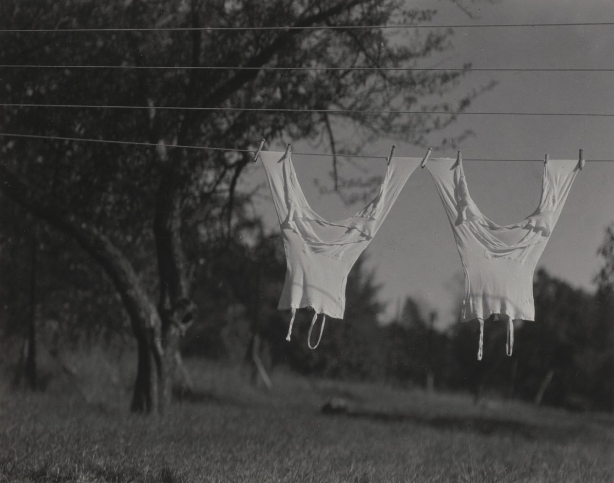 Roupa interior comprida, Lago George de Alfred Stieglitz