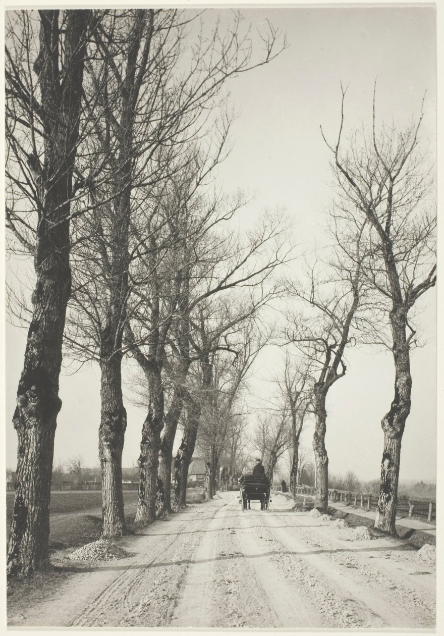 Dias de novembro de Alfred Stieglitz