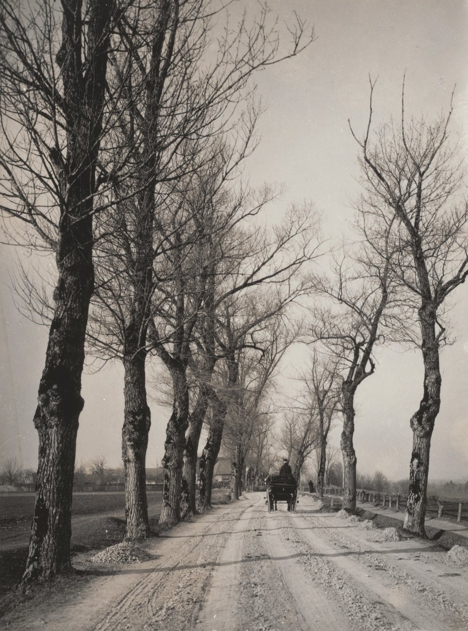 Dias de Novembro de Alfred Stieglitz