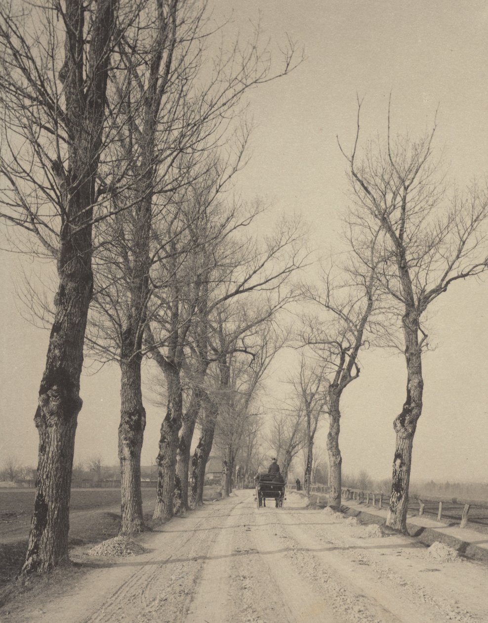 Dias de Novembro de Alfred Stieglitz