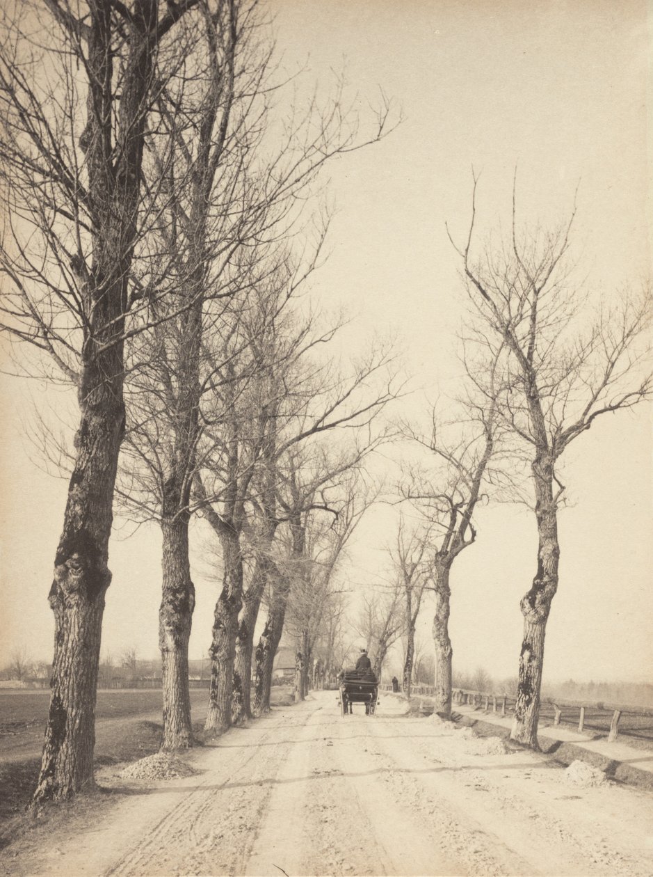 Dias de novembro de Alfred Stieglitz