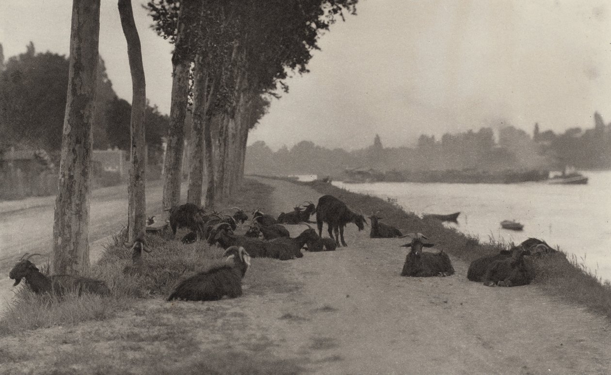 No Sena - perto de Paris de Alfred Stieglitz