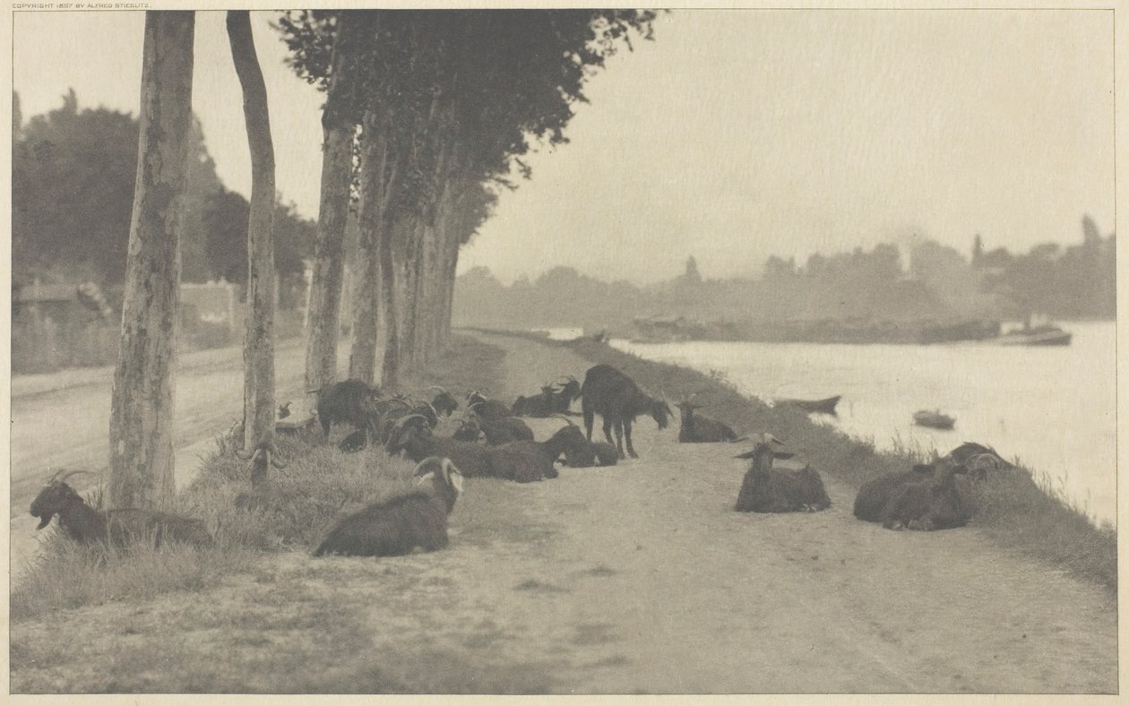 No Sena - Perto de Paris, 1894, impresso em 1897. de Alfred Stieglitz