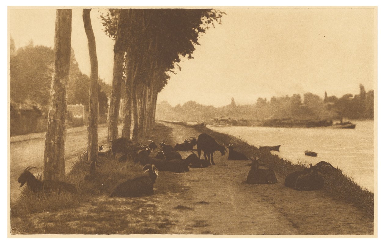 [No Sena - Perto de Paris] de Alfred Stieglitz