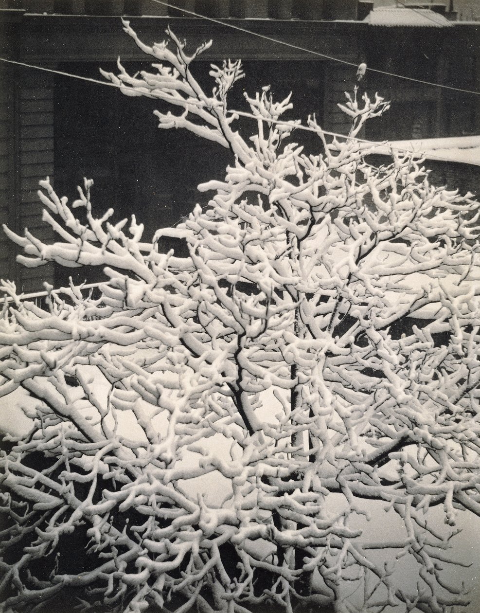 Fora da Janela - 291 - N.Y. de Alfred Stieglitz