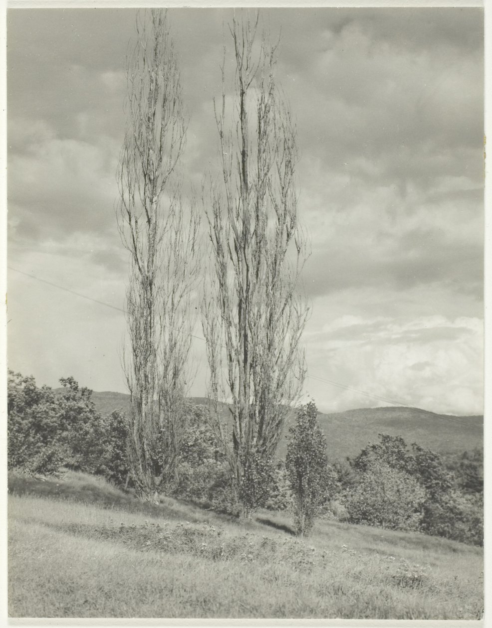 Álamo de Álamo Lago George de Alfred Stieglitz