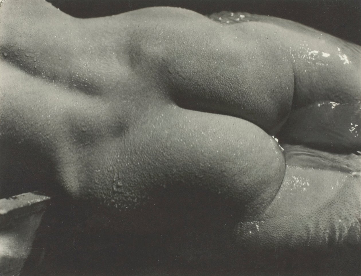 Rebecca Salsbury Strand, 1922. de Alfred Stieglitz