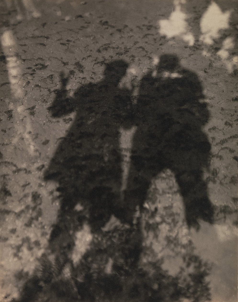 Sombras no Lago de Alfred Stieglitz
