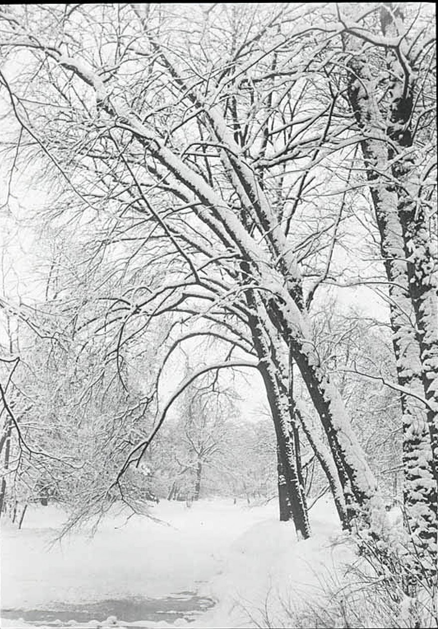 Snowscape, Berlim, 188892. de Alfred Stieglitz