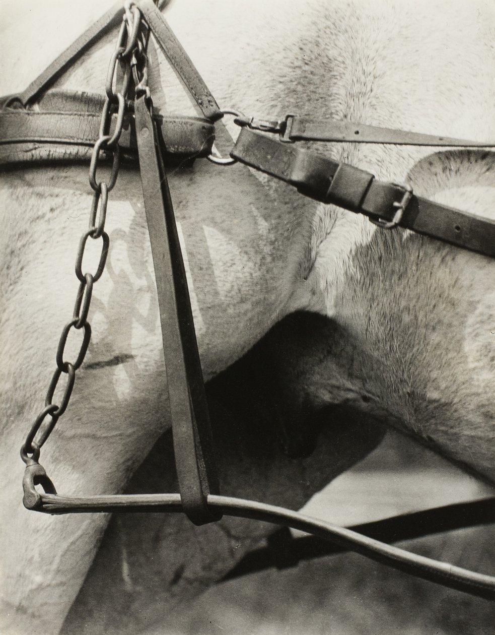 América Espiritual: Canções do Céu A1 de Alfred Stieglitz