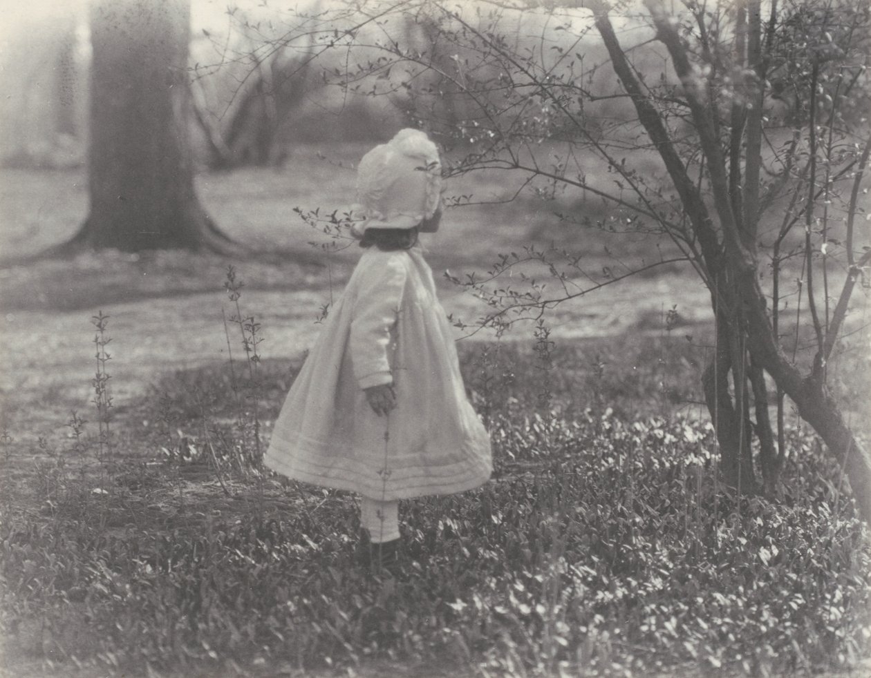 Primavera de Alfred Stieglitz
