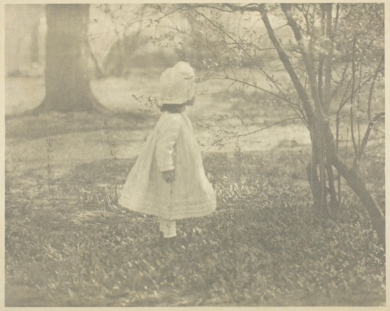 Primavera - A Criança de Alfred Stieglitz