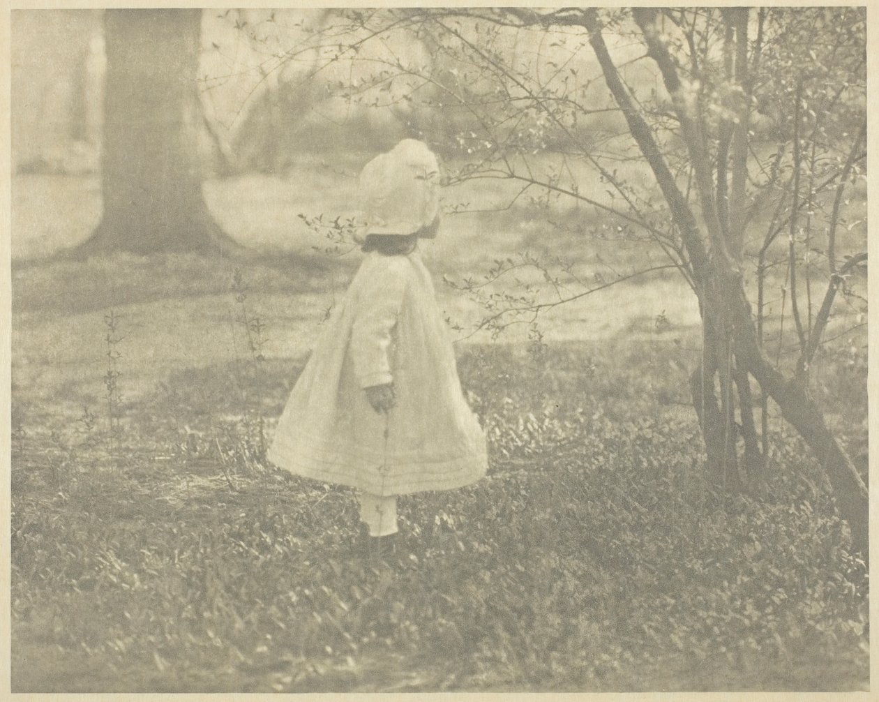 Primavera - A Criança, 1901. de Alfred Stieglitz