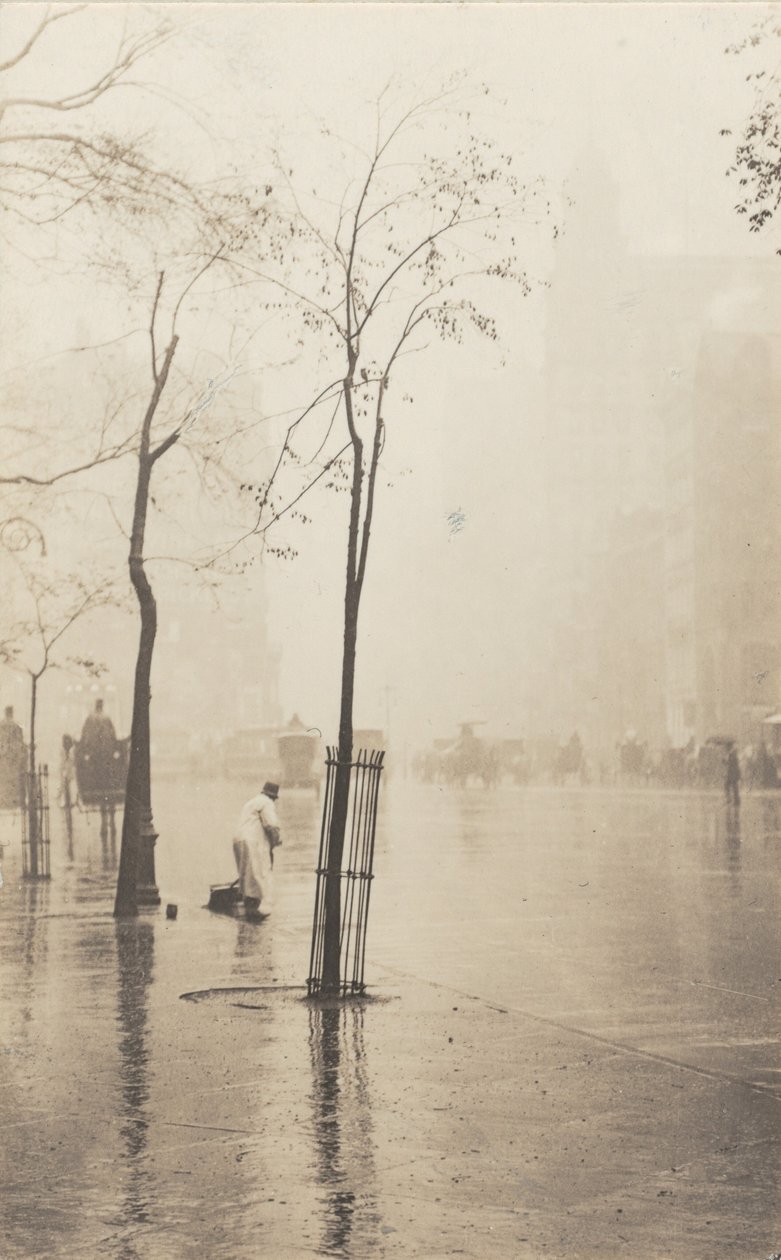 O varredor de ruas e a pequena árvore de Alfred Stieglitz