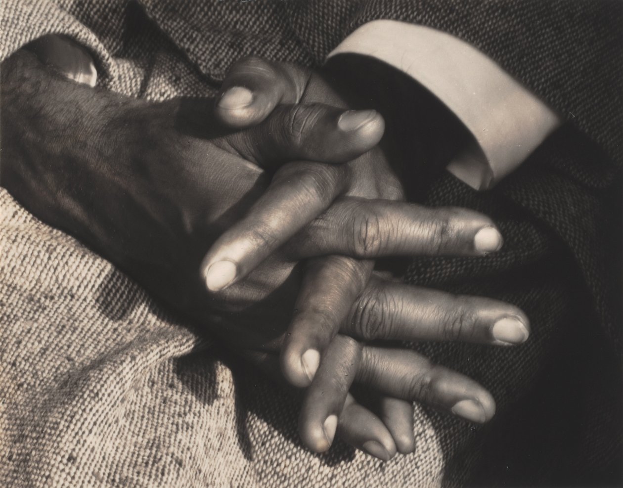 Senhor da minha paz de Alfred Stieglitz