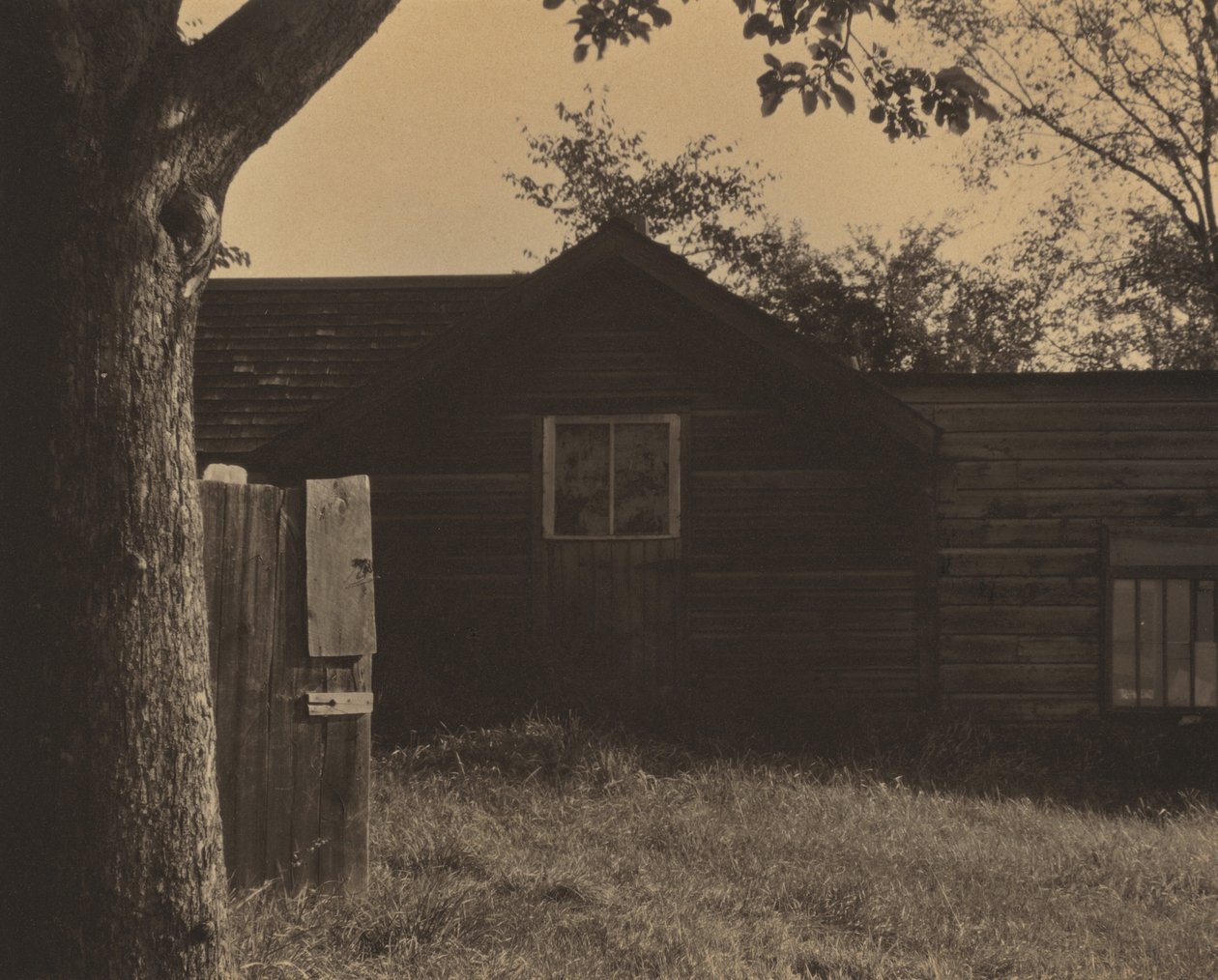 O Celeiro de Alfred Stieglitz