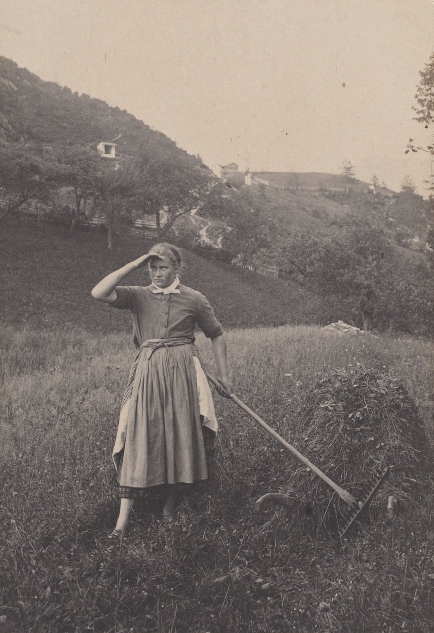 A colheita, Mittenwald de Alfred Stieglitz