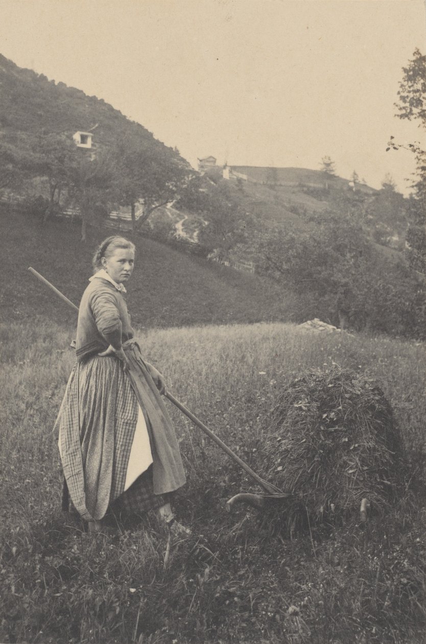 A colheita, Mittenwald de Alfred Stieglitz