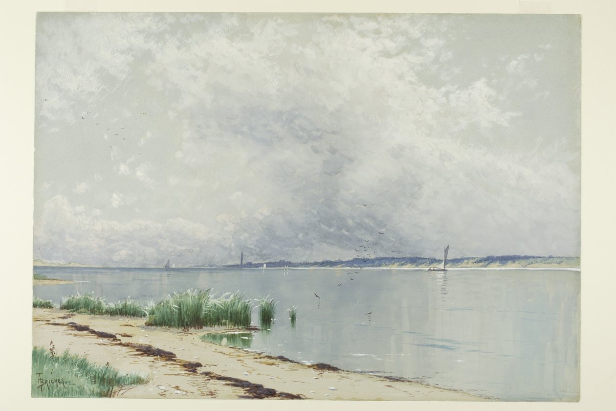 Juncos Refletidos de Alfred Thompson Bricher