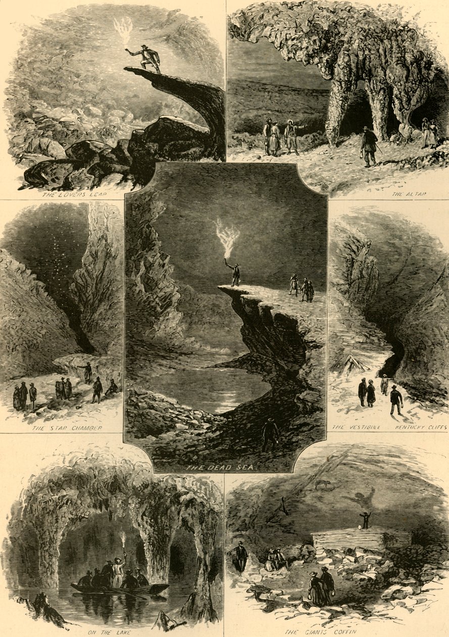 Floresta. de Alfred Rudolph Waud