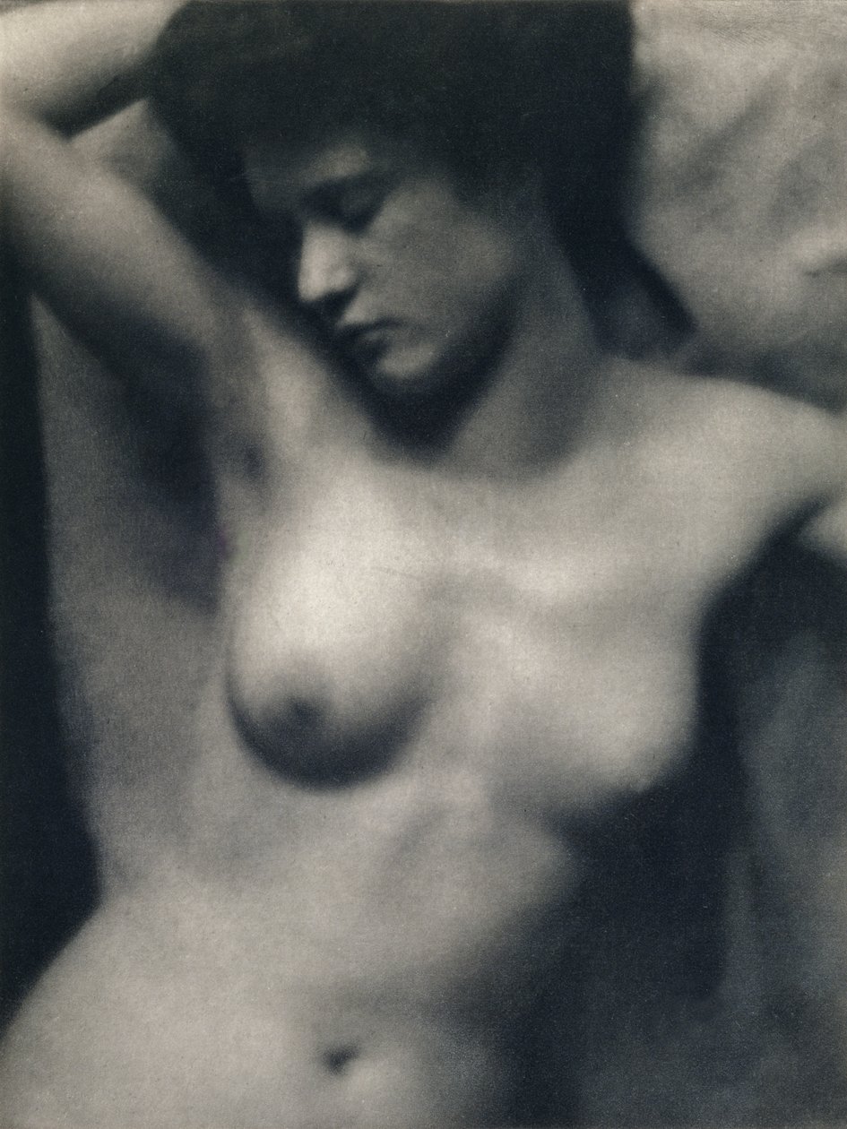 O Torso de Alfred and White Clarence Stieglitz