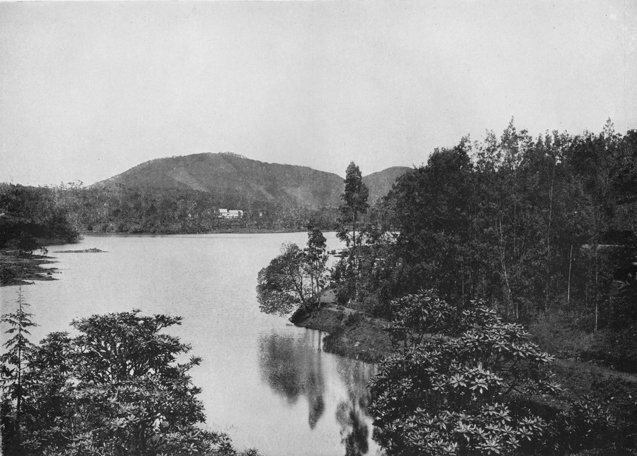 Um canto do lago Nuwara Eliya, c1890, 1910 de Alfred William Amandus Plate