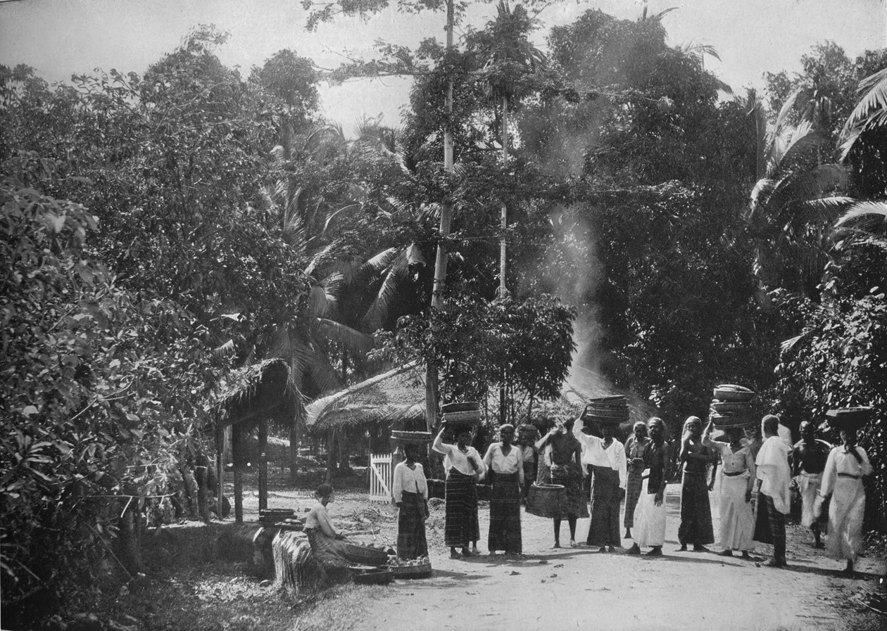 Uma vila na selva, c1890, 1910 de Alfred William Amandus Plate