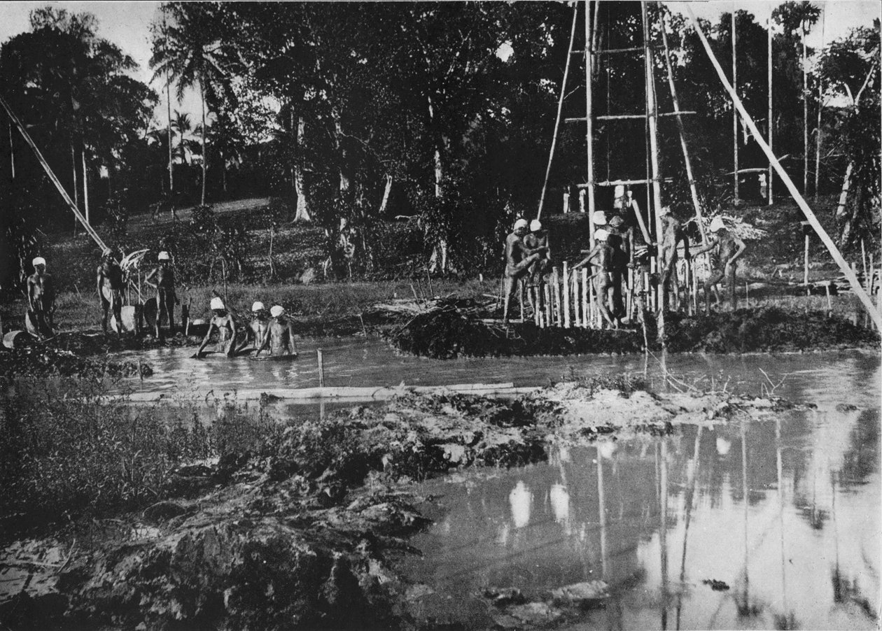 Gem Mining, Ceilão, c1890, 1910 de Alfred William Amandus Plate