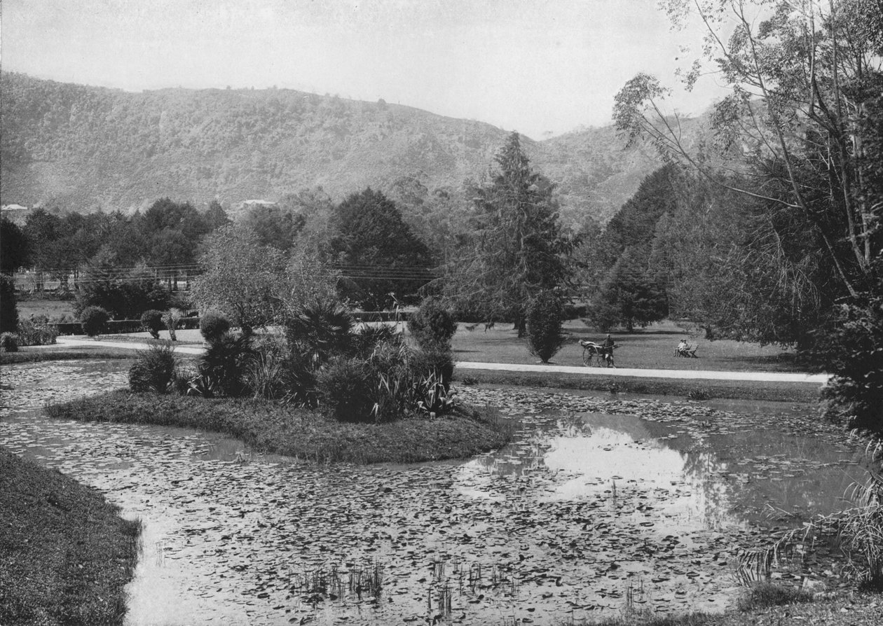 Jardins de Hakgalla do Lago dos Lótus, Nuwara Eliya, c1890, 1910 de Alfred William Amandus Plate