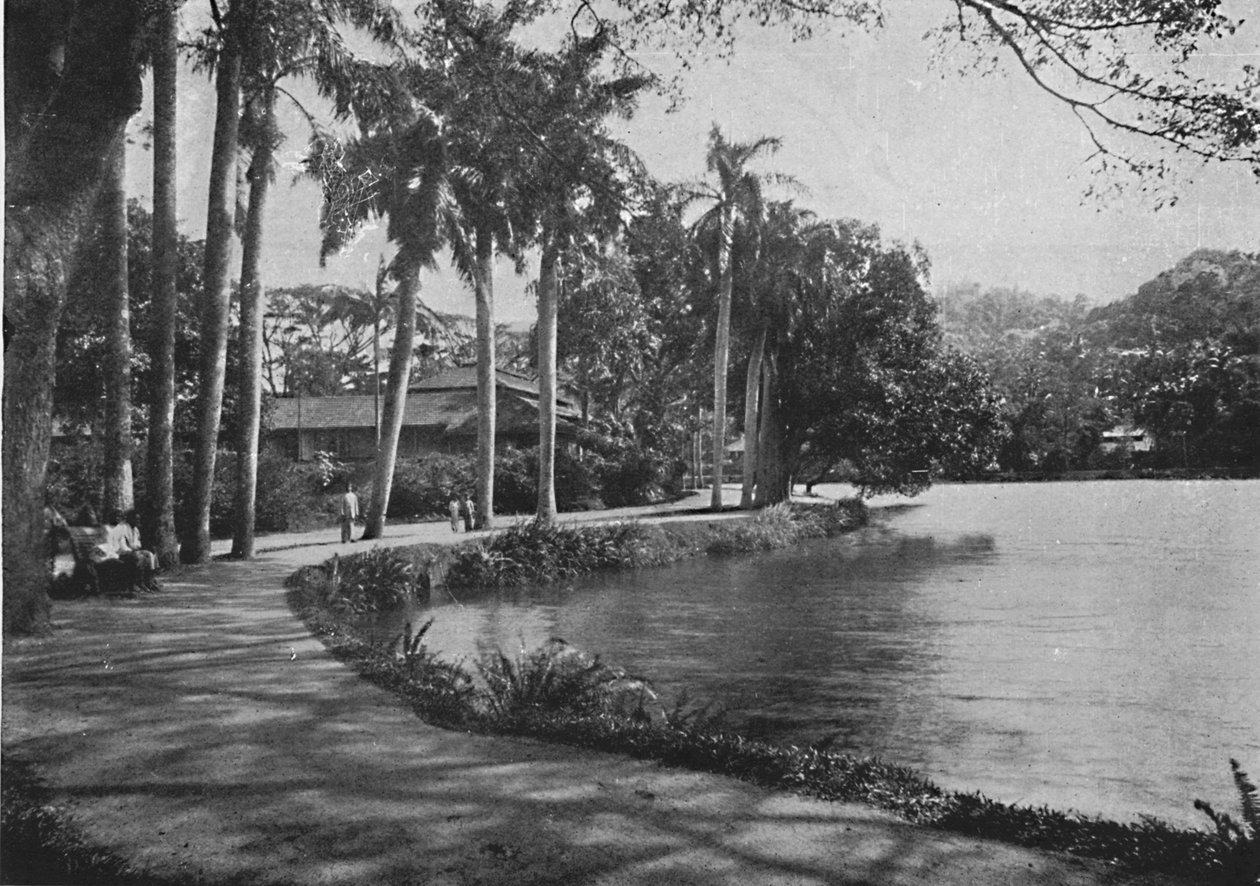 Kandy Lake and Drive, c1890, 1910 de Alfred William Amandus Plate
