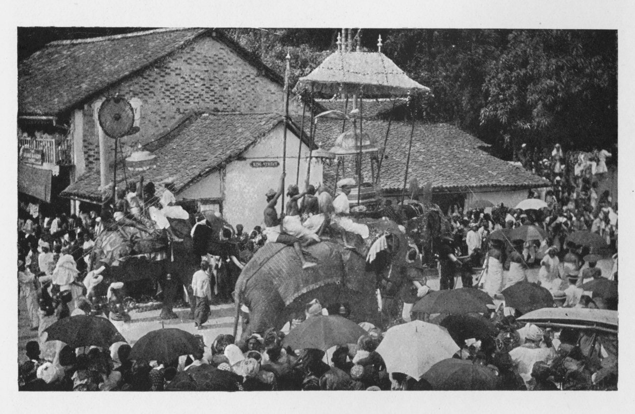 Kandy Perahera. - Uma procissão de elefantes realizada pelos chefes de Kandyan, c1890, 1910 de Alfred William Amandus Plate