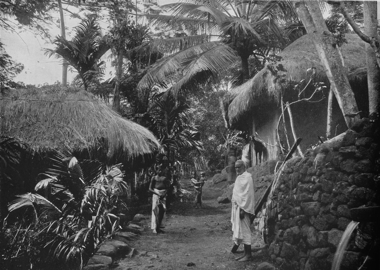Cabanas nativas na selva, c1890, 1910 de Alfred William Amandus Plate