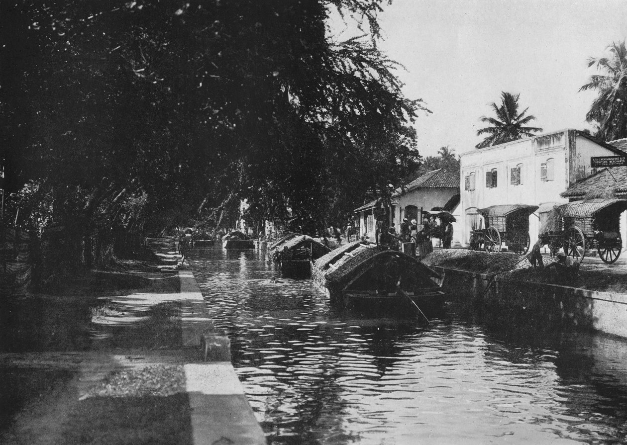 Canal de Negombo, mostrando barcos Padda, c1890, 1910 de Alfred William Amandus Plate