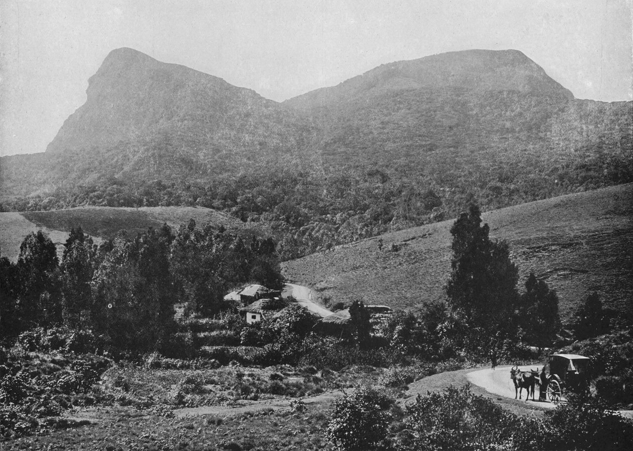 Na estrada para Hakgalla. Rocha à distância de Hakgalla, c1890, 1910 de Alfred William Amandus Plate