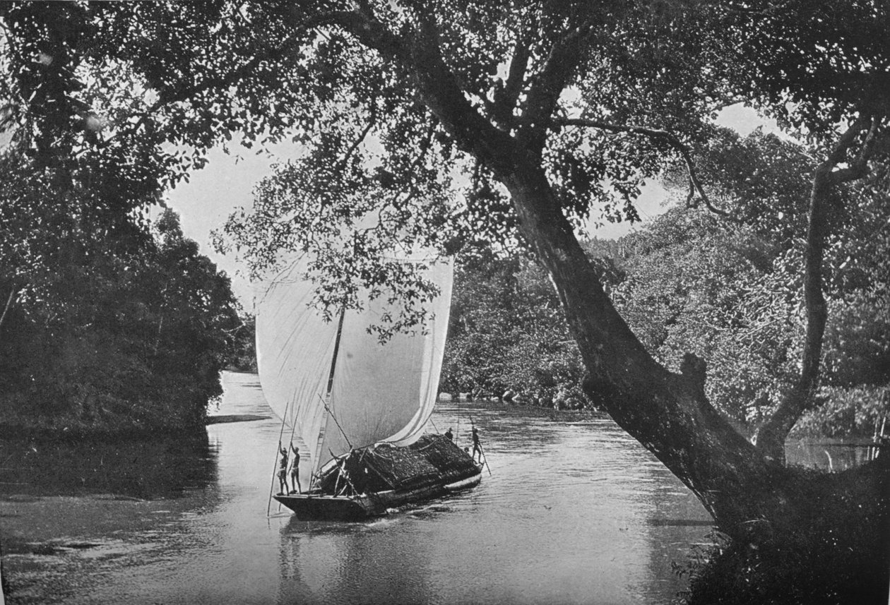 Padda Boat em Full Sail, c1890, 1910 de Alfred William Amandus Plate
