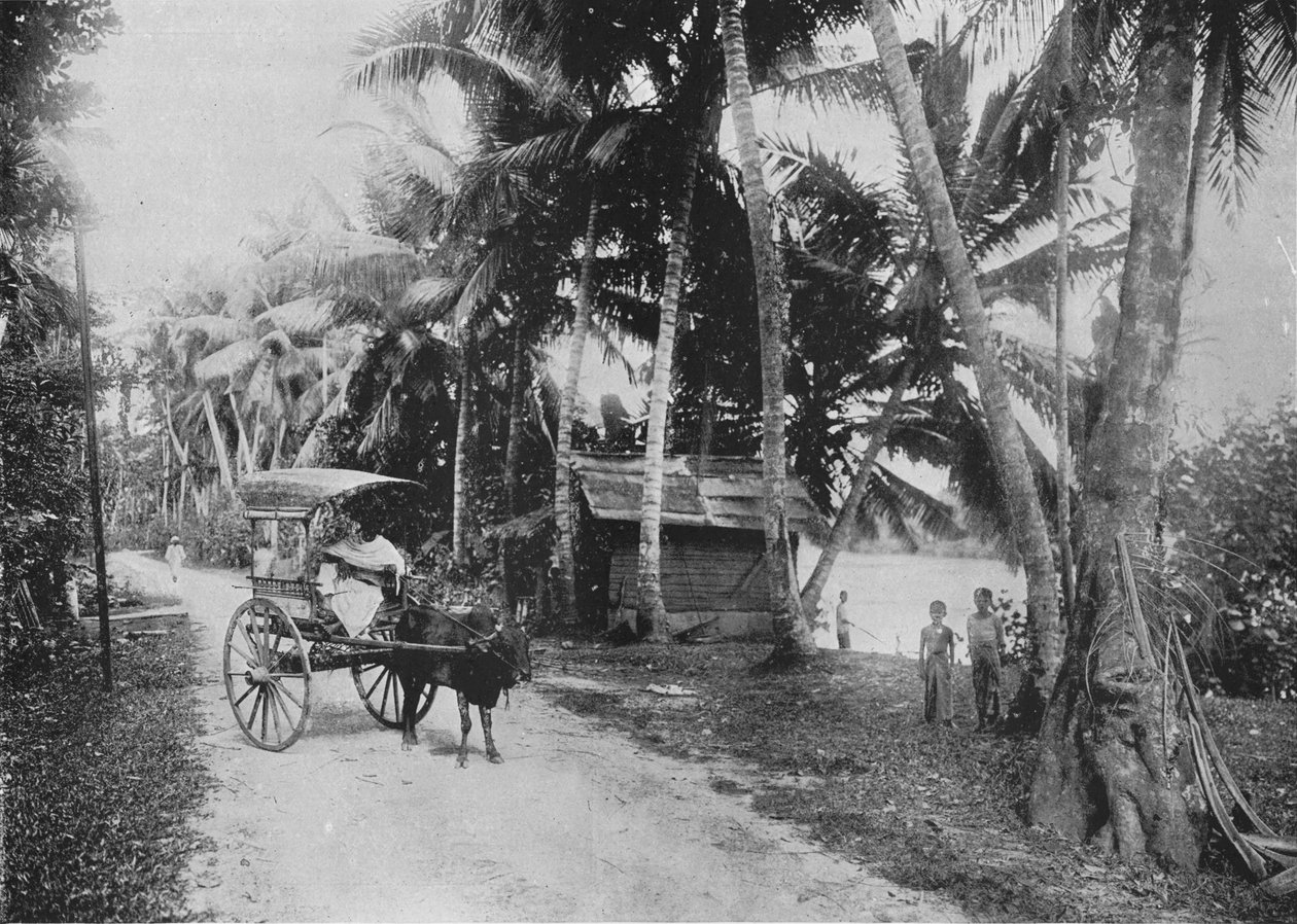 Estrada ao lado do rio Kelaniya, c1890, 1910 de Alfred William Amandus Plate