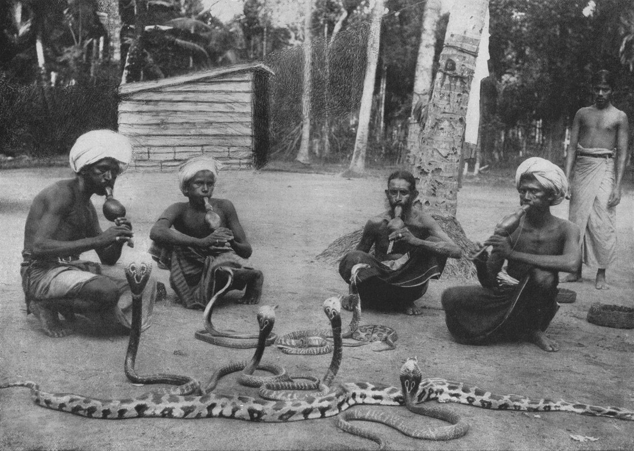 Encantadores de serpentes, c1890, 1910 de Alfred William Amandus Plate