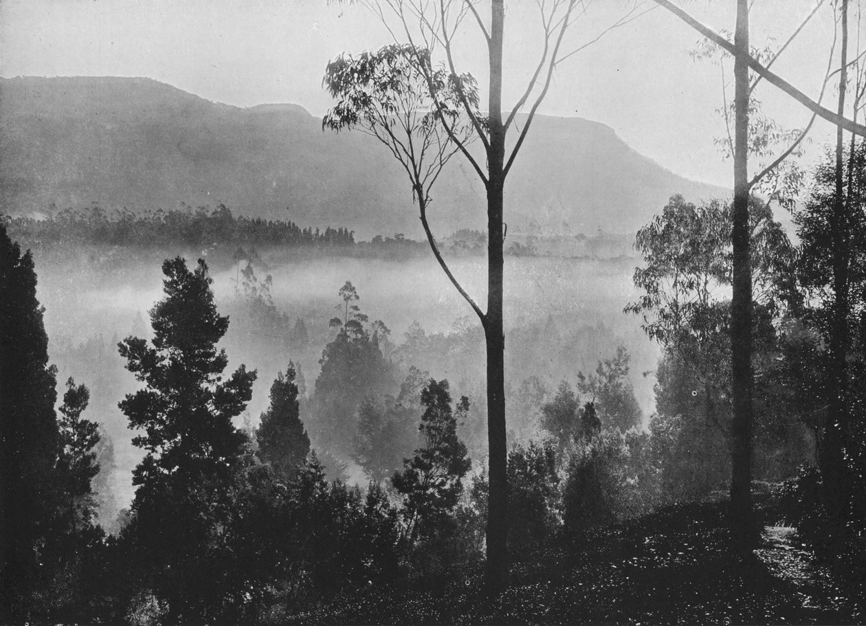 A névoa do amanhecer subindo em Nuwara Eliya, c1890, 1910 de Alfred William Amandus Plate