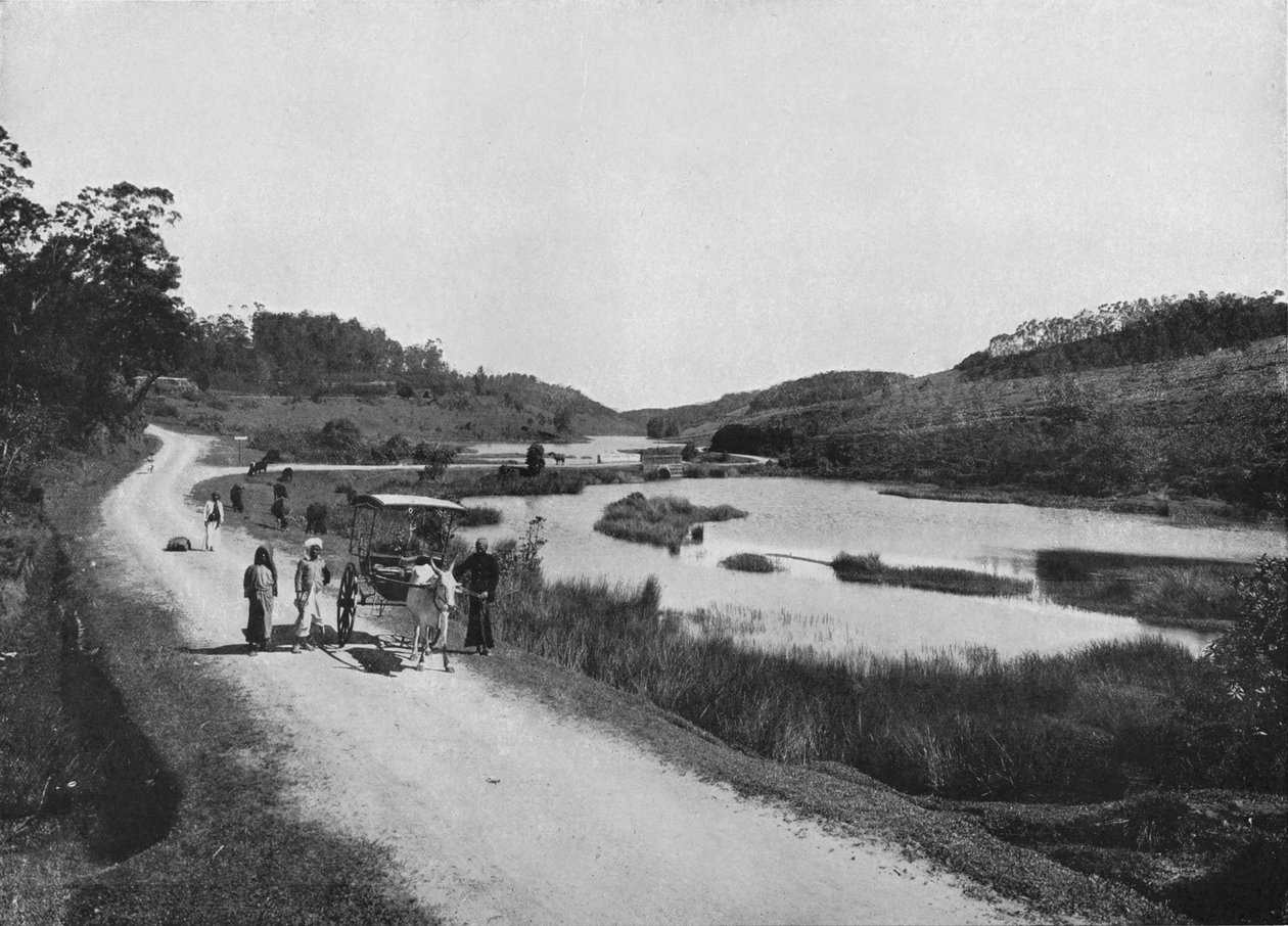 As planícies da lua, Nuwara Eliya, c1890, 1910 de Alfred William Amandus Plate