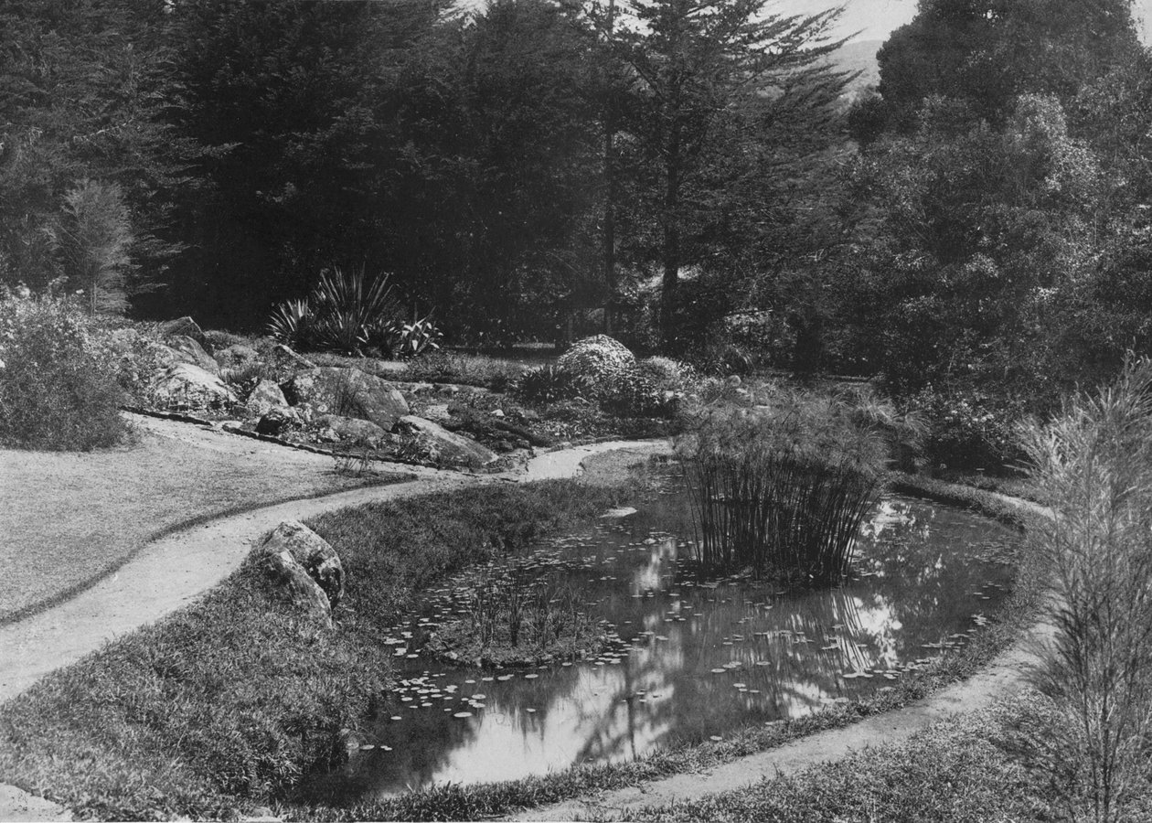 O Jardim das Pedras, Jardins Hakgalla, Nuwara Eliya, c1890, 1910 de Alfred William Amandus Plate